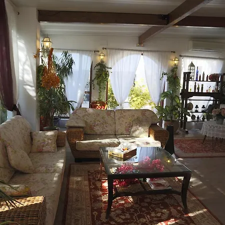 Country house Huerto De La Luz Elche